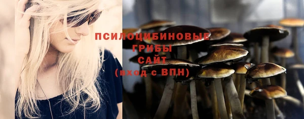 метадон Шали